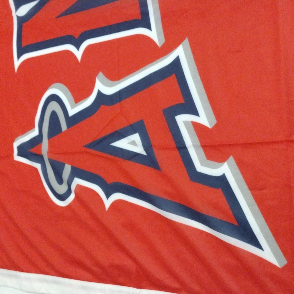 New (Very Big) Anehiem(like New) Angeles flag banner